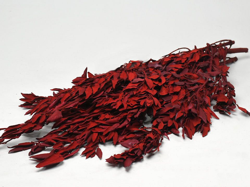 SCEAK RED 90cm 1 kg.