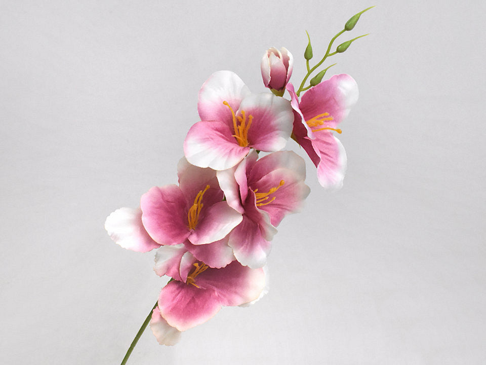 Art Gladiola Dark Pink 54 cm