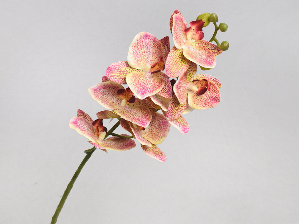 Kunst Orchidee Roze 73cm