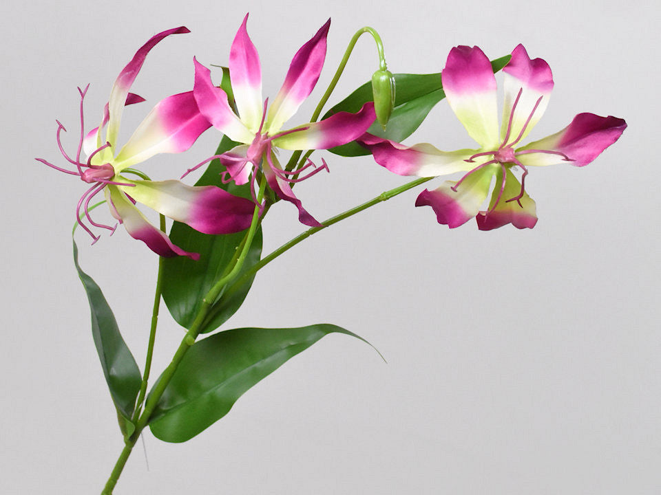 Art Gloriosa Pink 80 cm