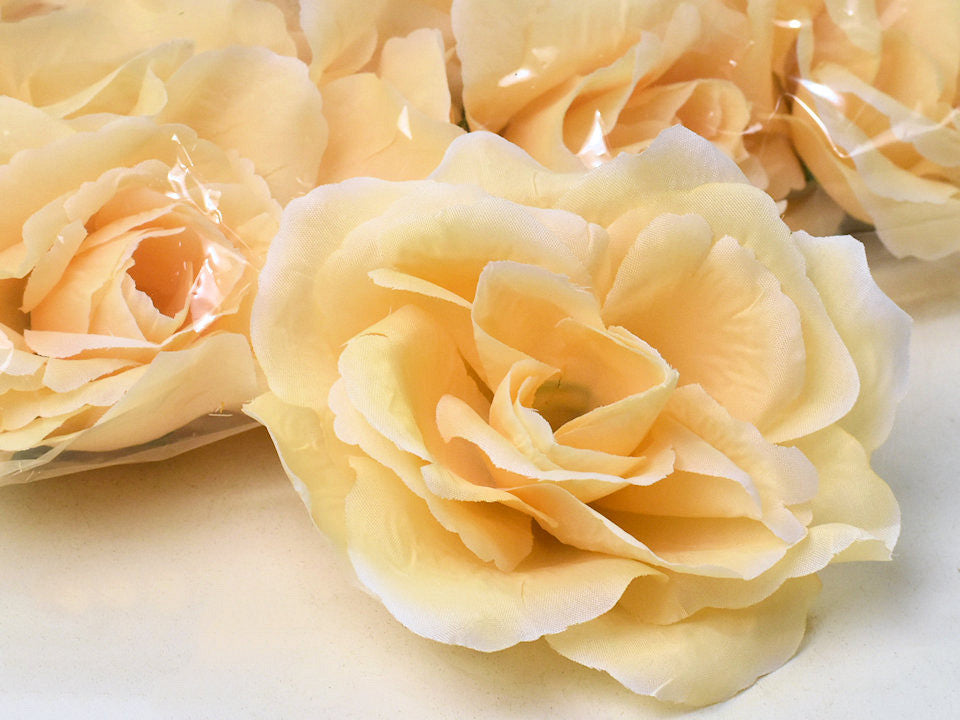 Rose soft yellow D10cm