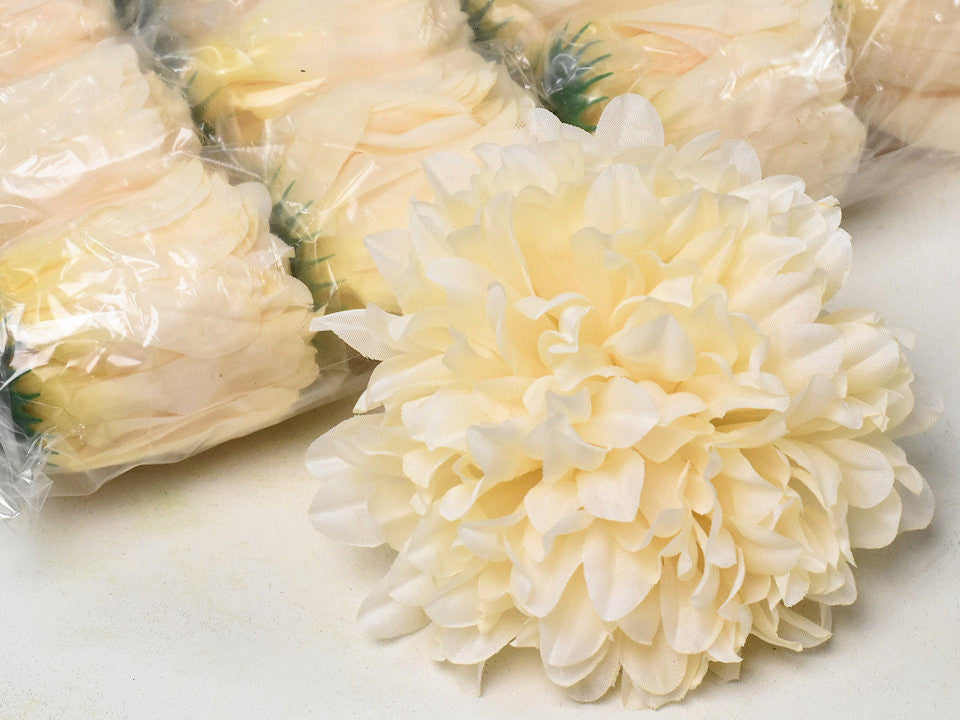 Chrysanthemum autumn cream D15cm