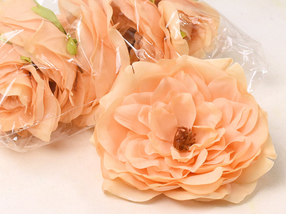 Peony Peach D13cm