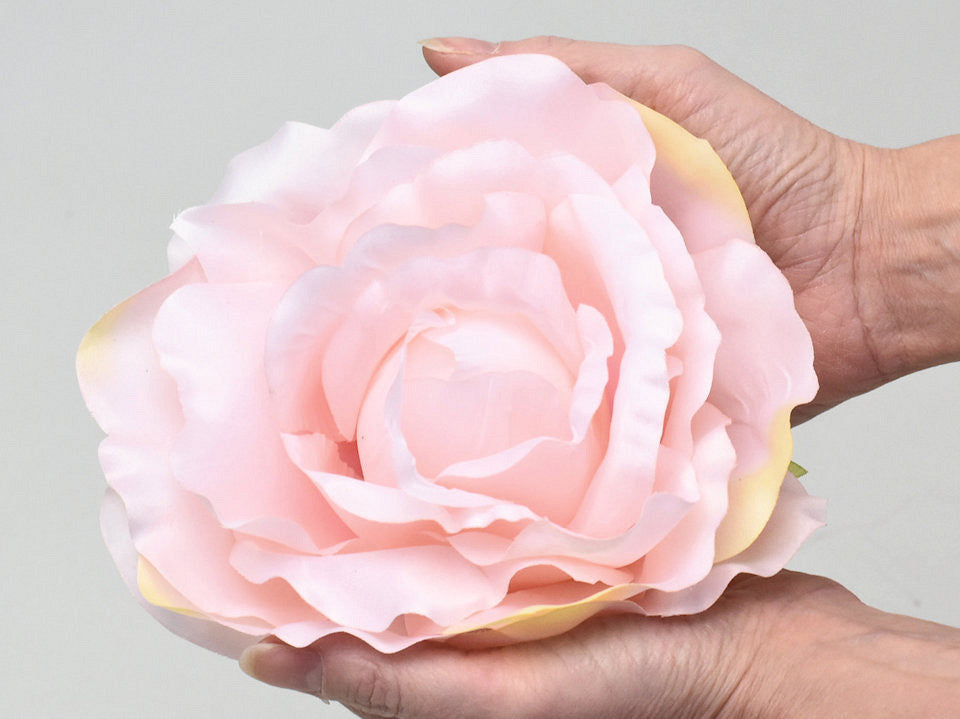 Roos Roze D21cm
