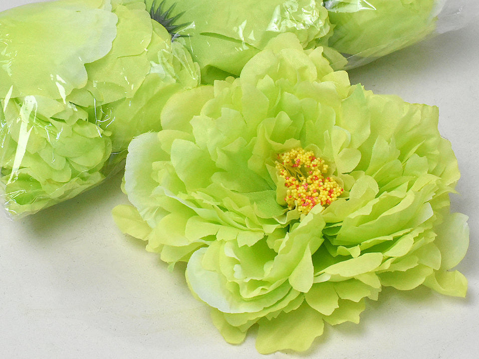 Peony Green D18cm