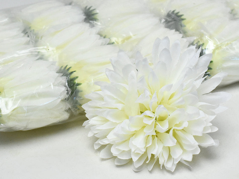 Chrysanthemum crème d12cm