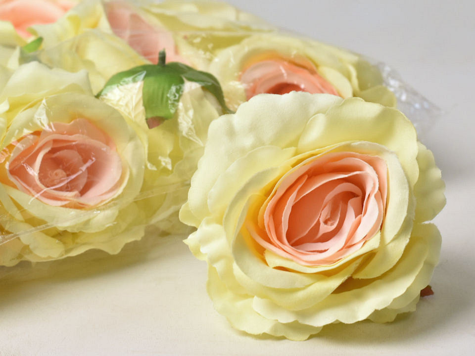 Rose pastel yellow/salmon d10cm