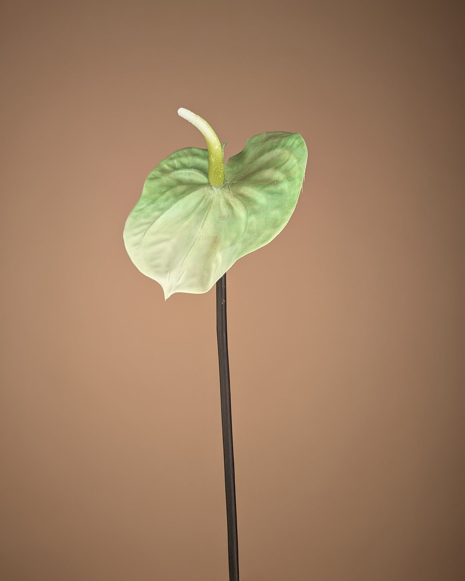 Zijde Anthurium – Lichtgroen (65 cm)