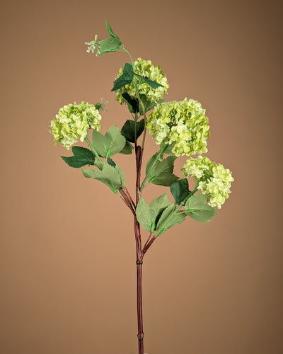 Zijde Viburnum Snowball  – Groen (75 cm)