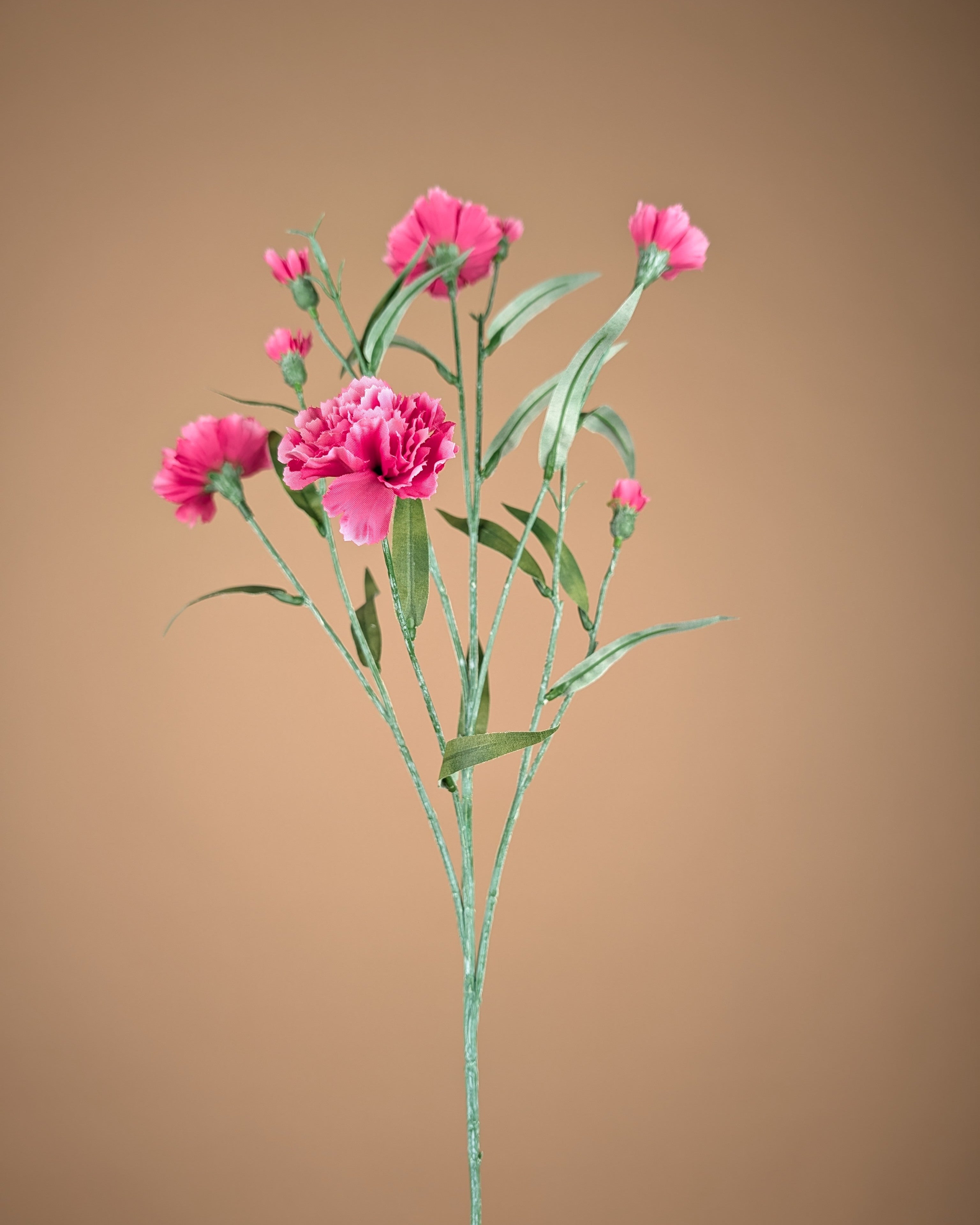 Zijde Dianthus – Roze (70 cm)
