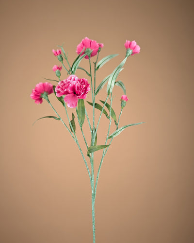Zijde Dianthus – Roze (70 cm)