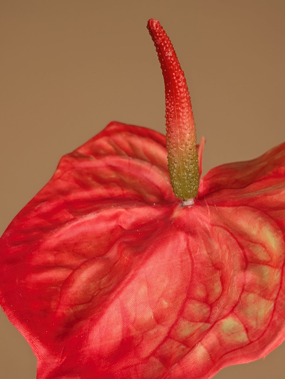 Zijde Anthurium – Oranje (65 cm)