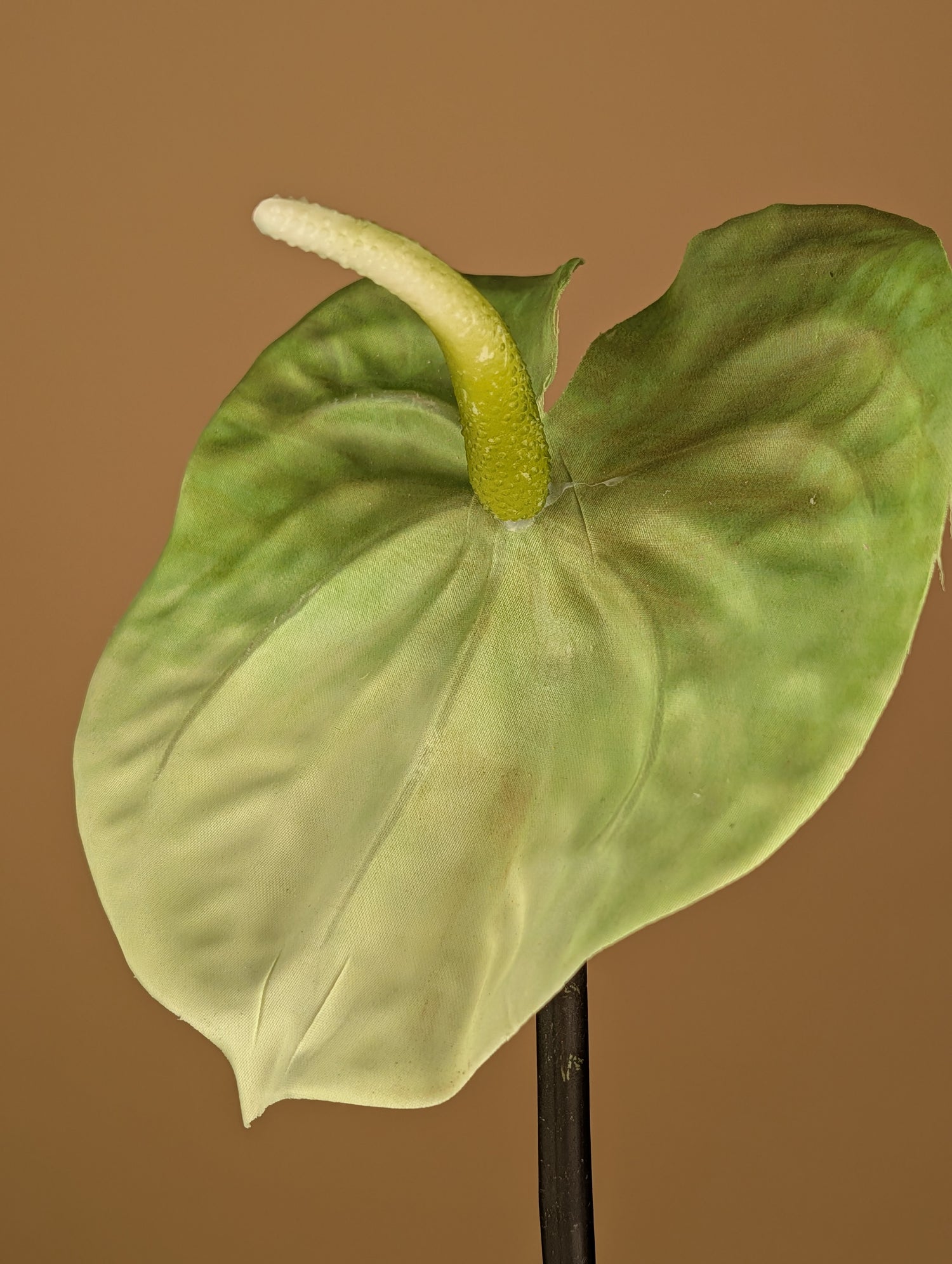 Zijde Anthurium – Lichtgroen (65 cm)