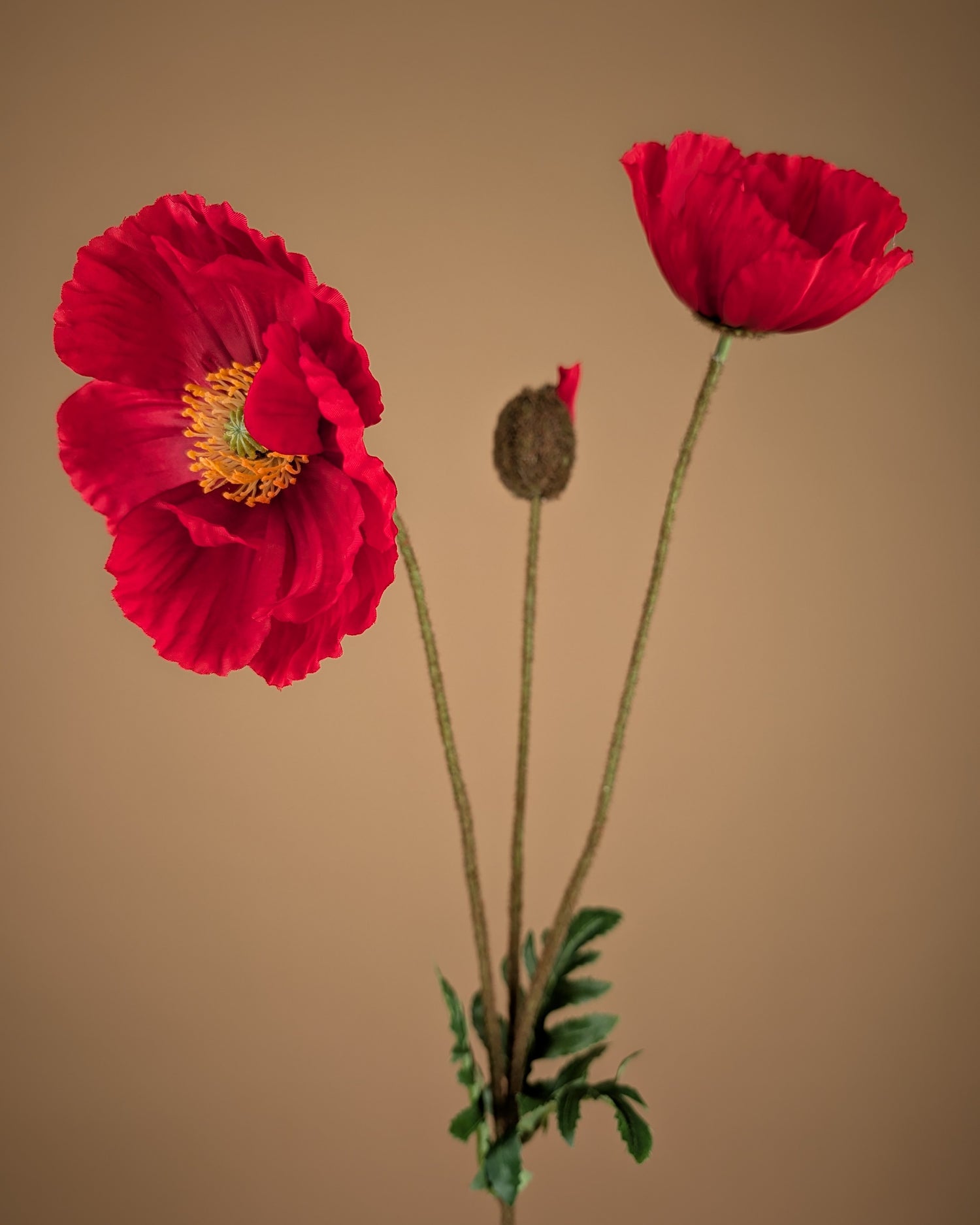 Zijde Papaver Tak – Klaproos Rood (75 cm)