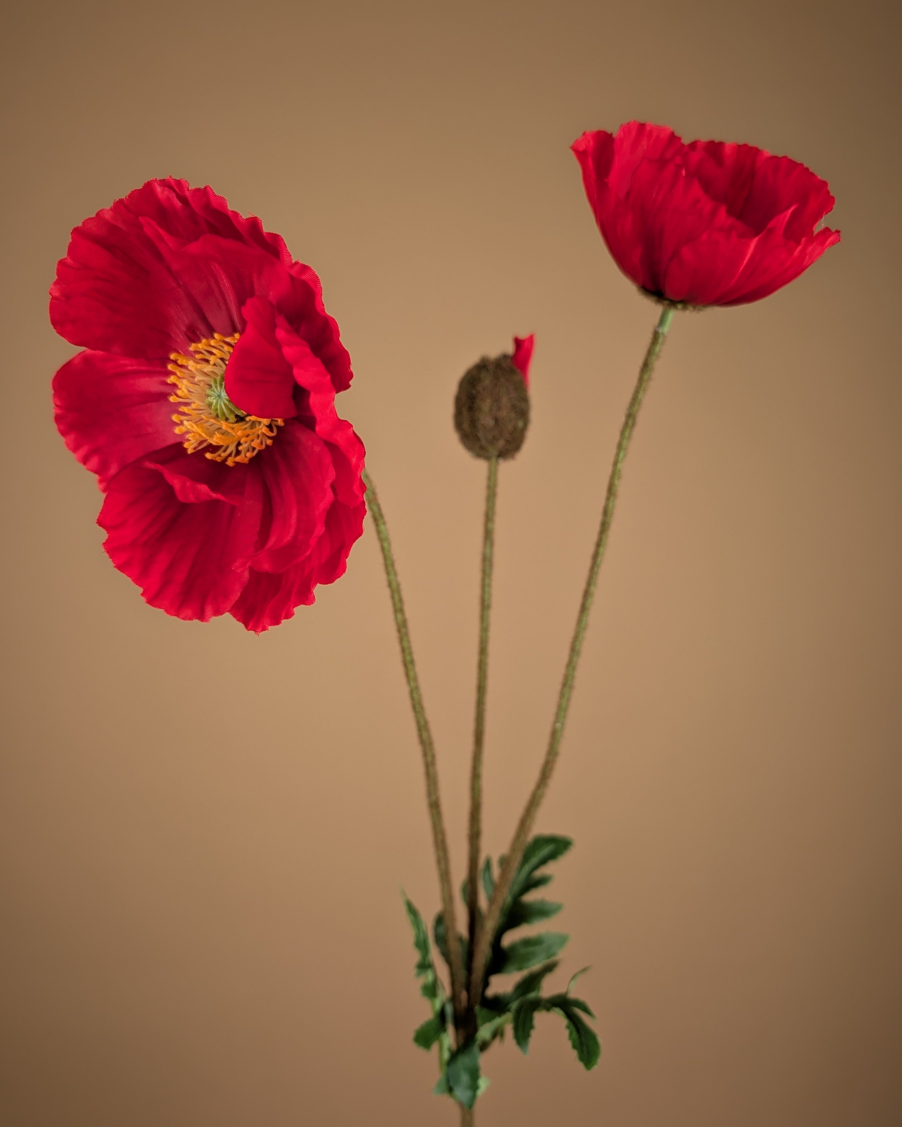 Zijde Papaver Tak – Klaproos Rood (75 cm)