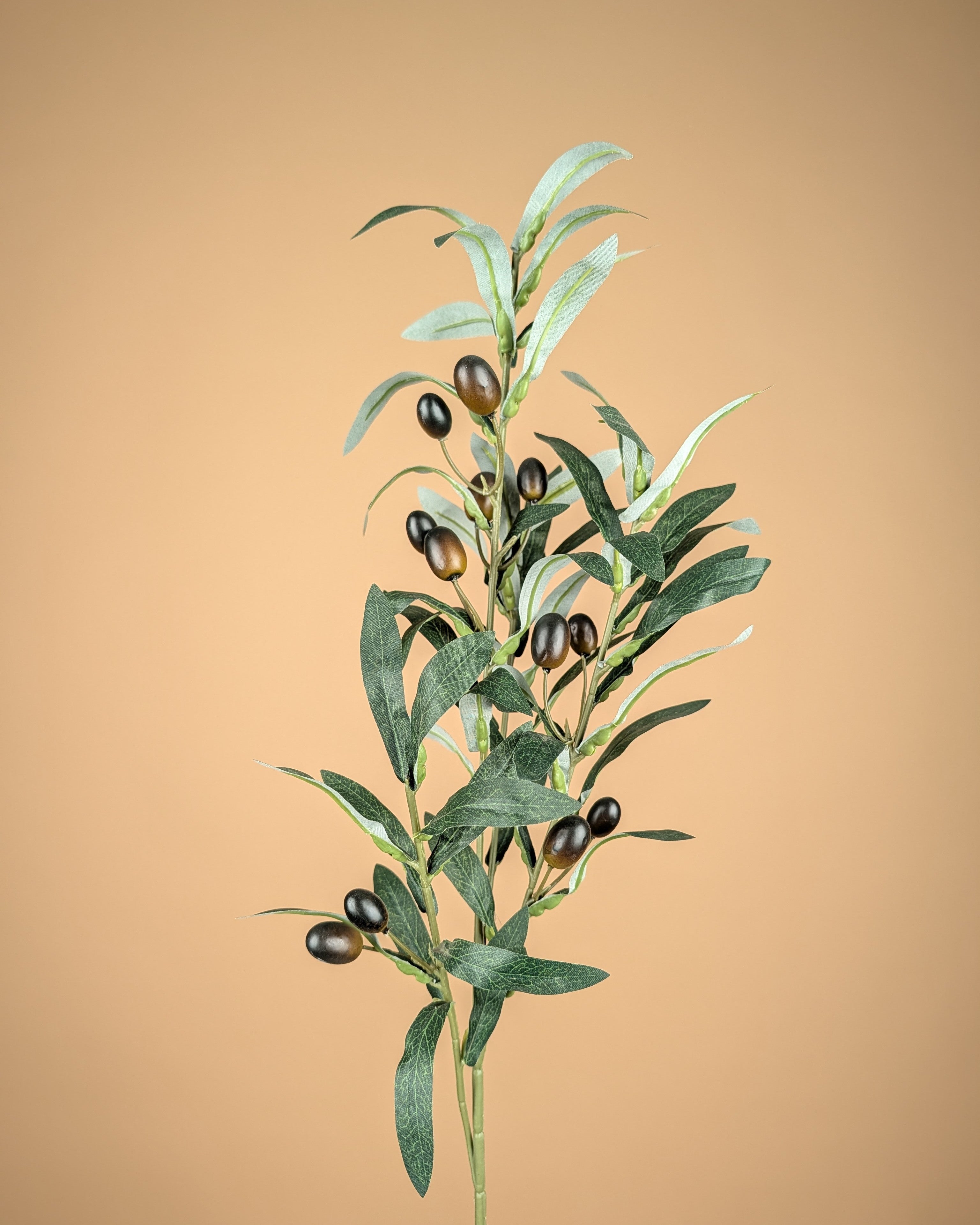 Branche d'olivier en soie – Verte (75 cm)