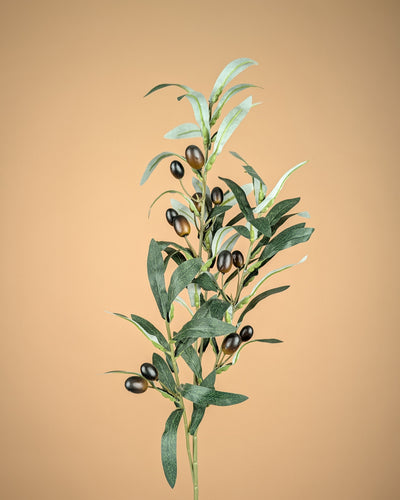 Zijde Olijftak – Groen (75 cm)