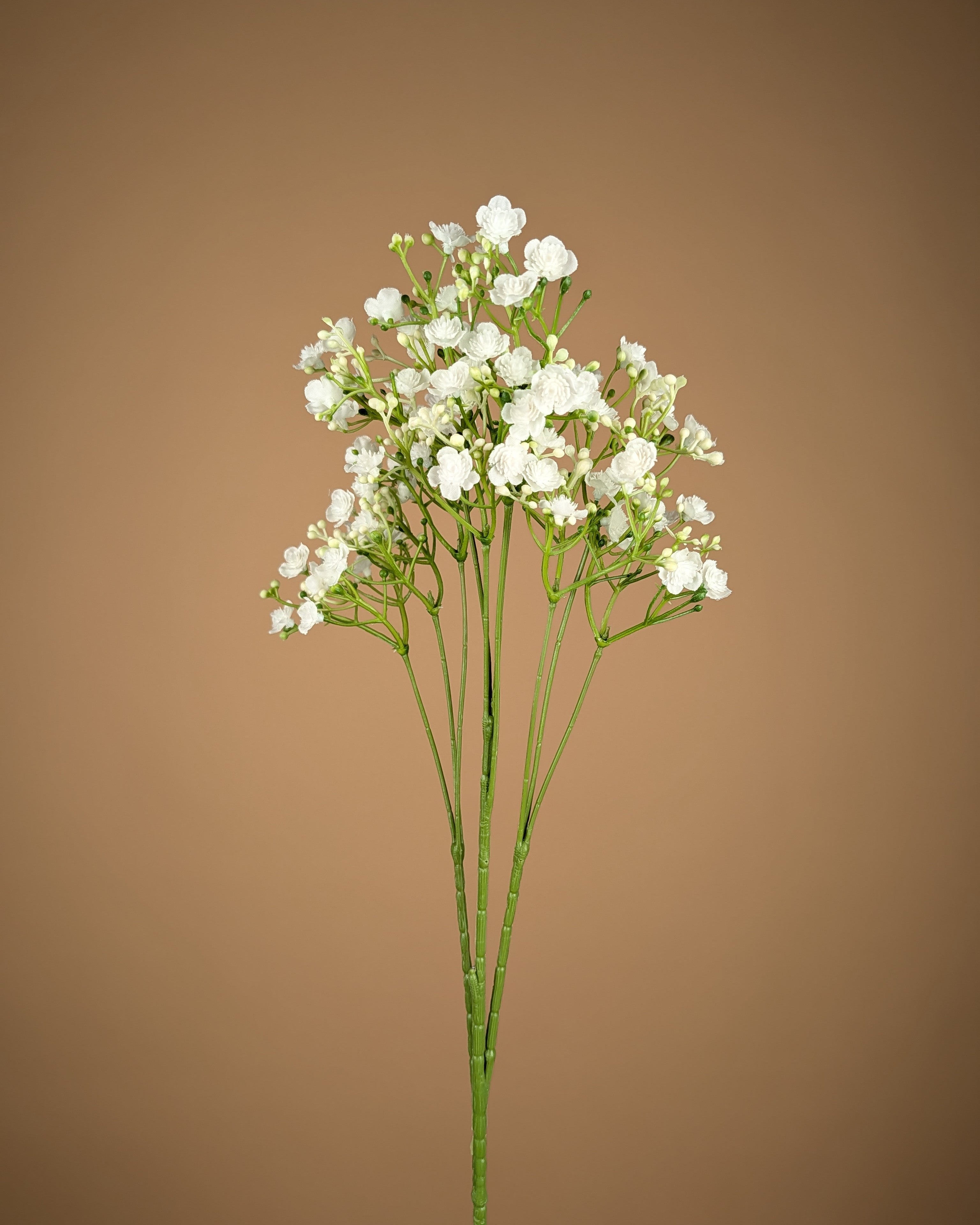 Gypsophile soyeuse – Blanche (68 cm)