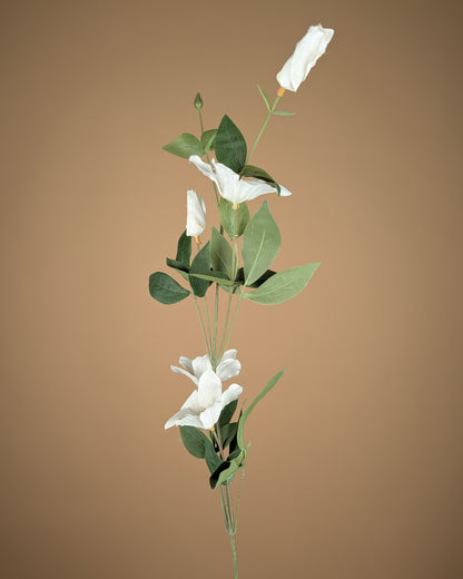 Zijde Clematis – Wit (82 cm)