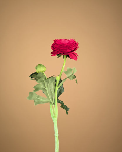 Zijde Ranunculus – Diep Bordeaux (51 cm)