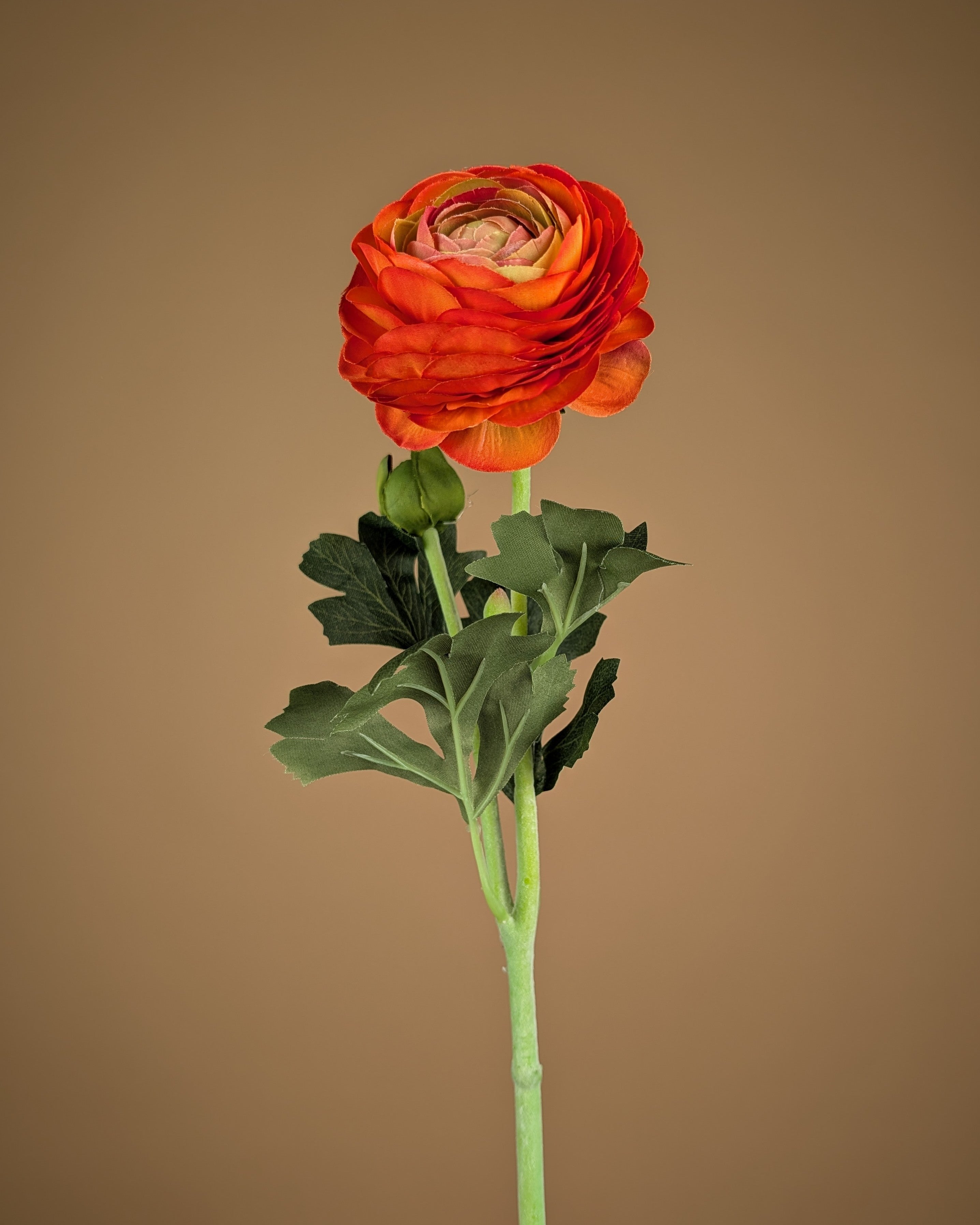 Zijde Ranunculus – Warm Oranje (51 cm)
