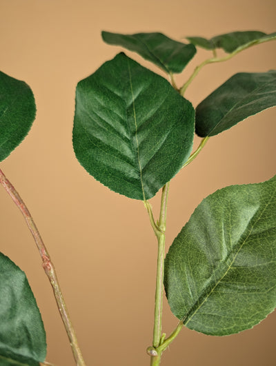 Zijde Shallon – Groen (70 cm)