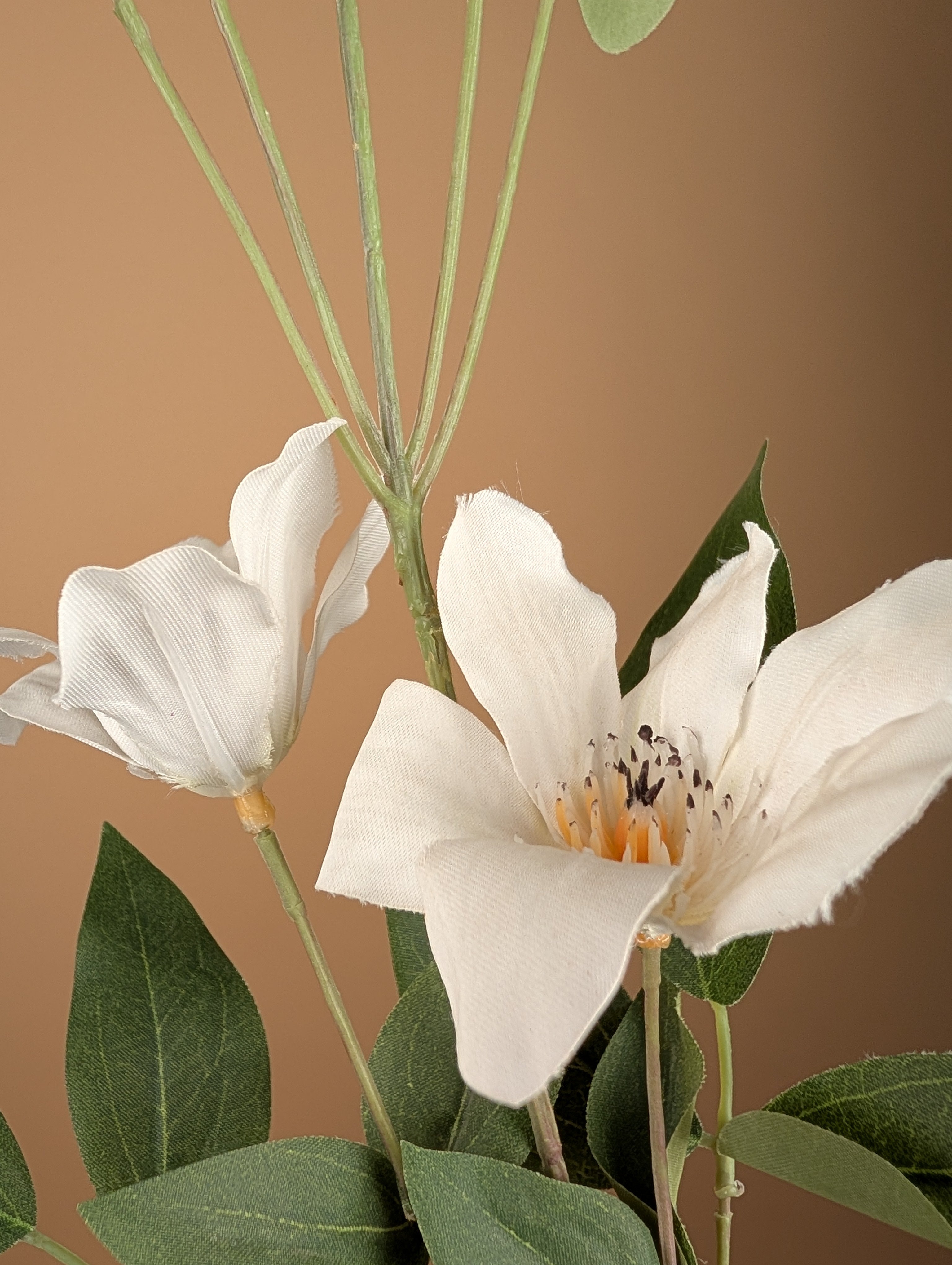 Zijde Clematis – Wit (82 cm)