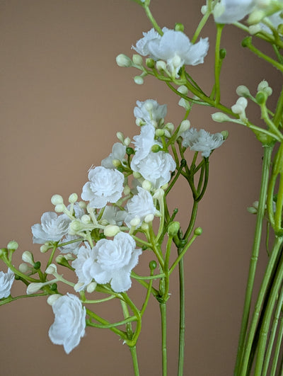 Zijde Gypsophila – Wit (68 cm)