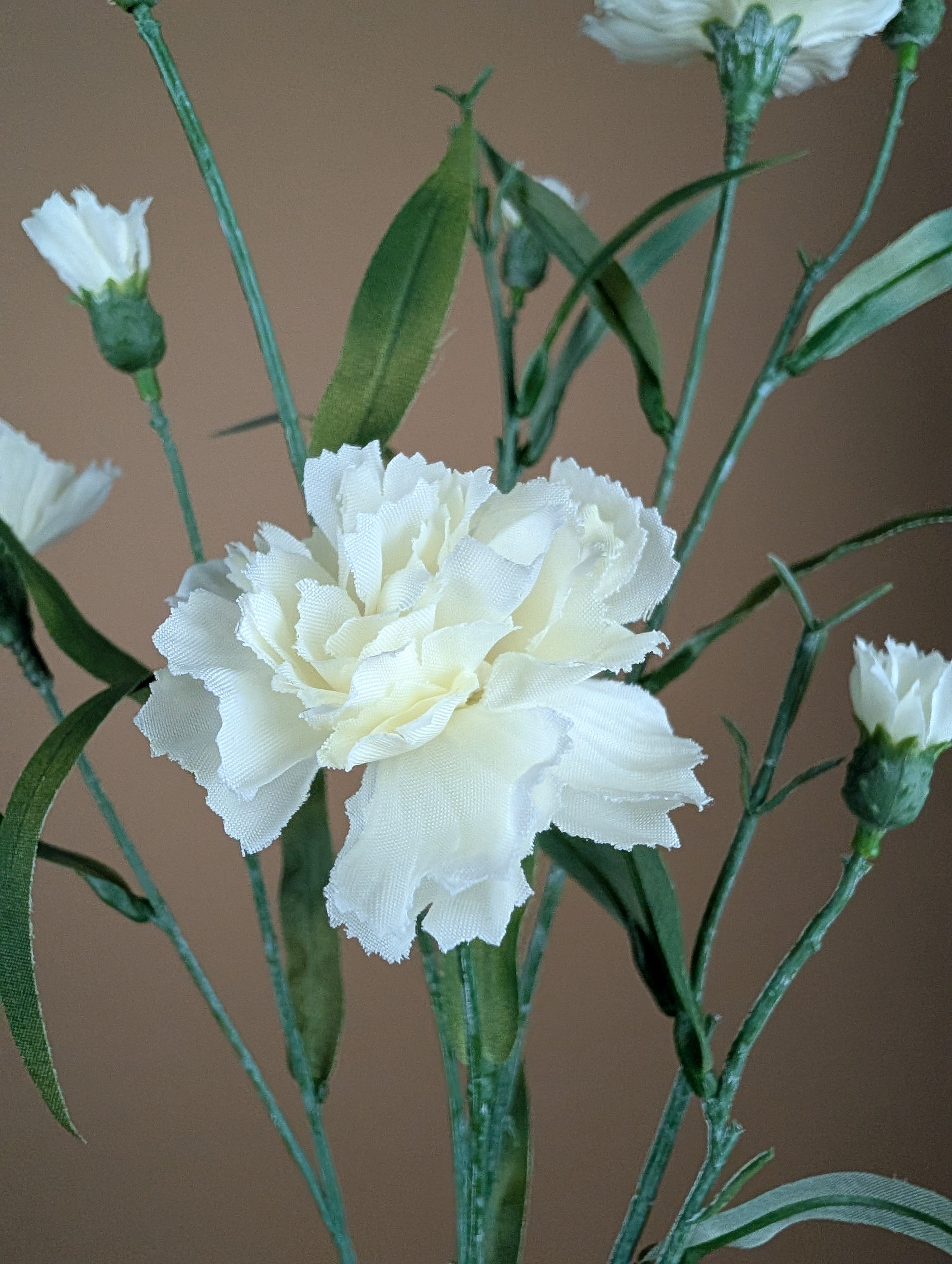 Zijde Dianthus – Crème (70 cm)