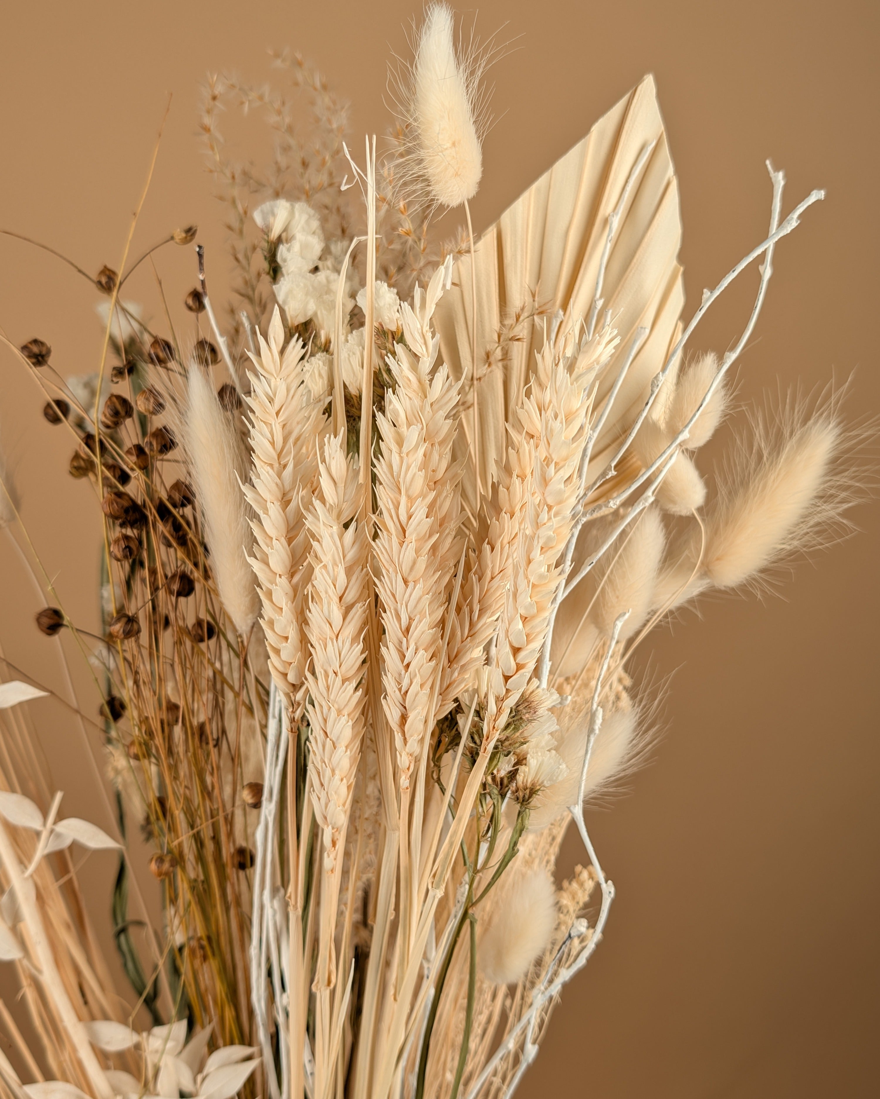Trockenstrauß wirklich geliebt