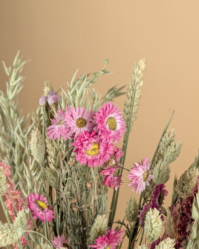 Le bouquet sec a vraiment aimé