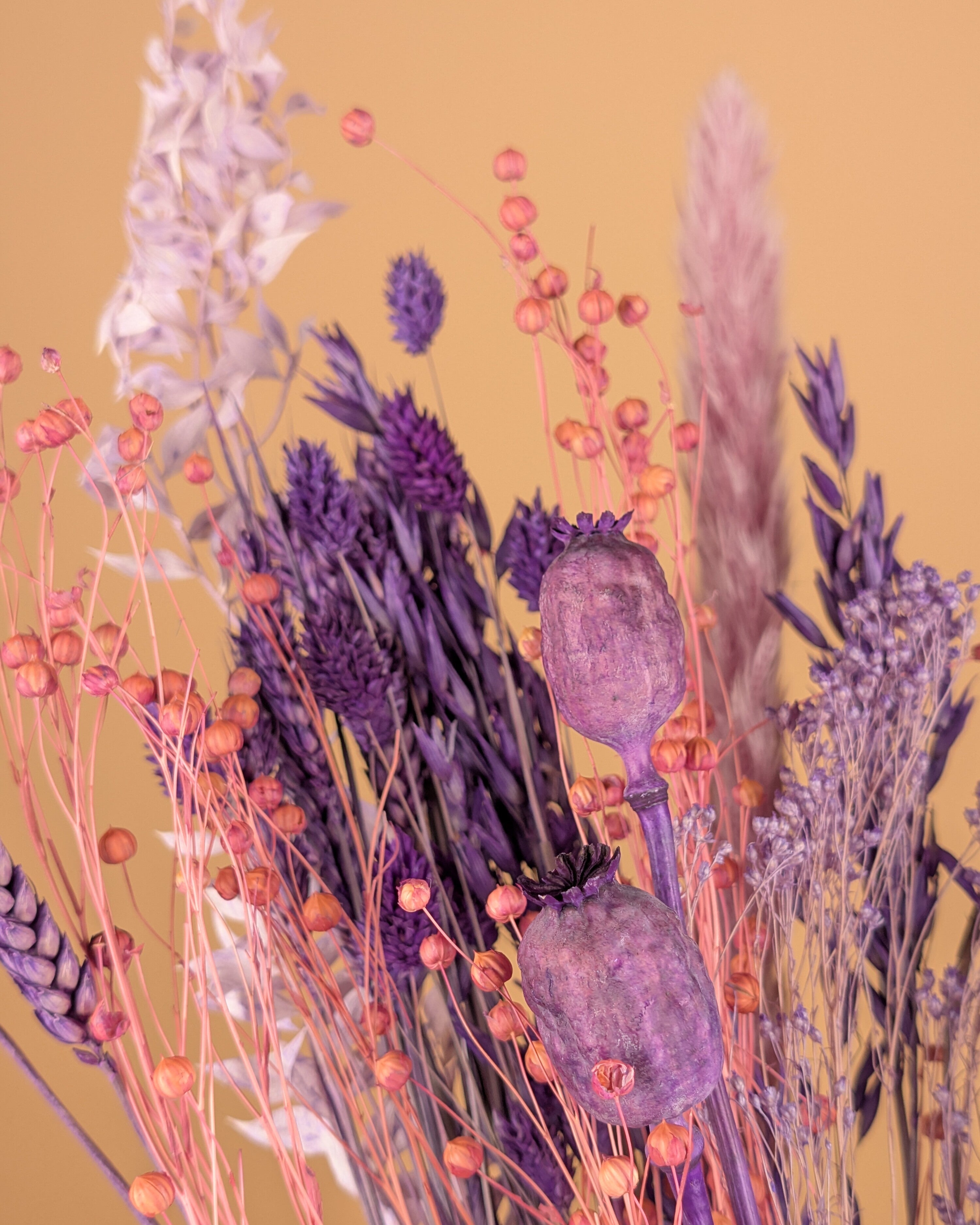 Trocknen von Bouquet Purpur