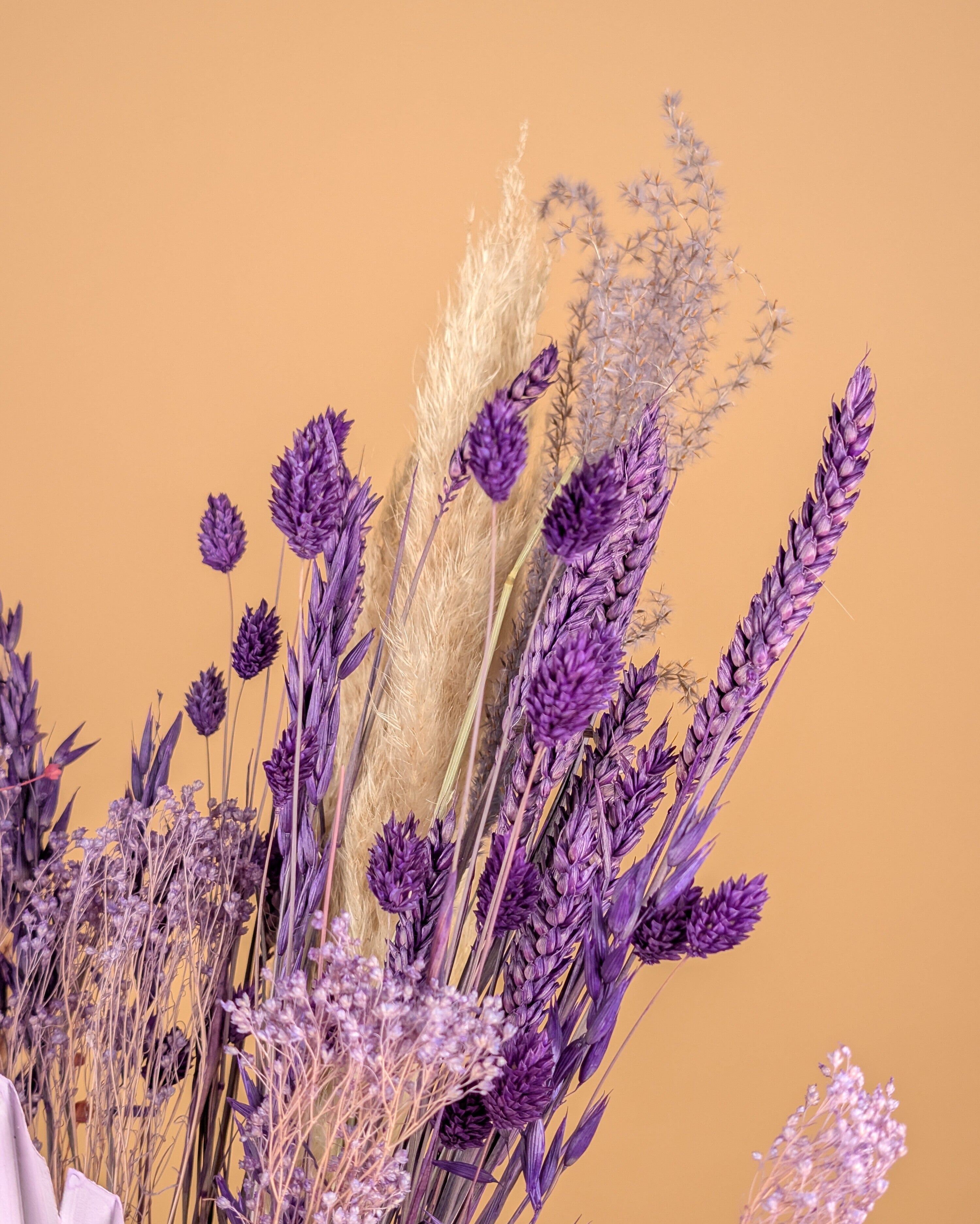 Trocknen von Bouquet Purpur