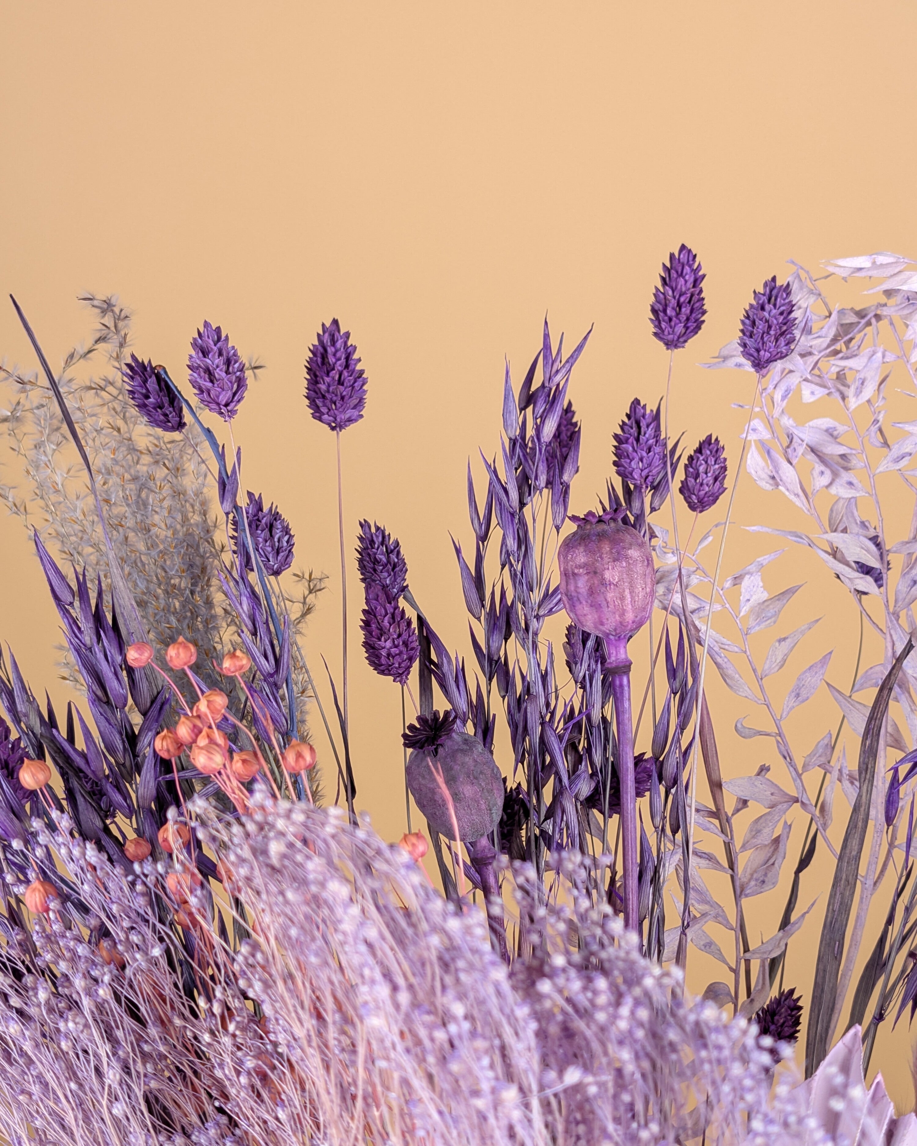 Trocknen von Bouquet Purpur