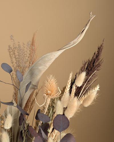 Droogboeket Brown Sugar