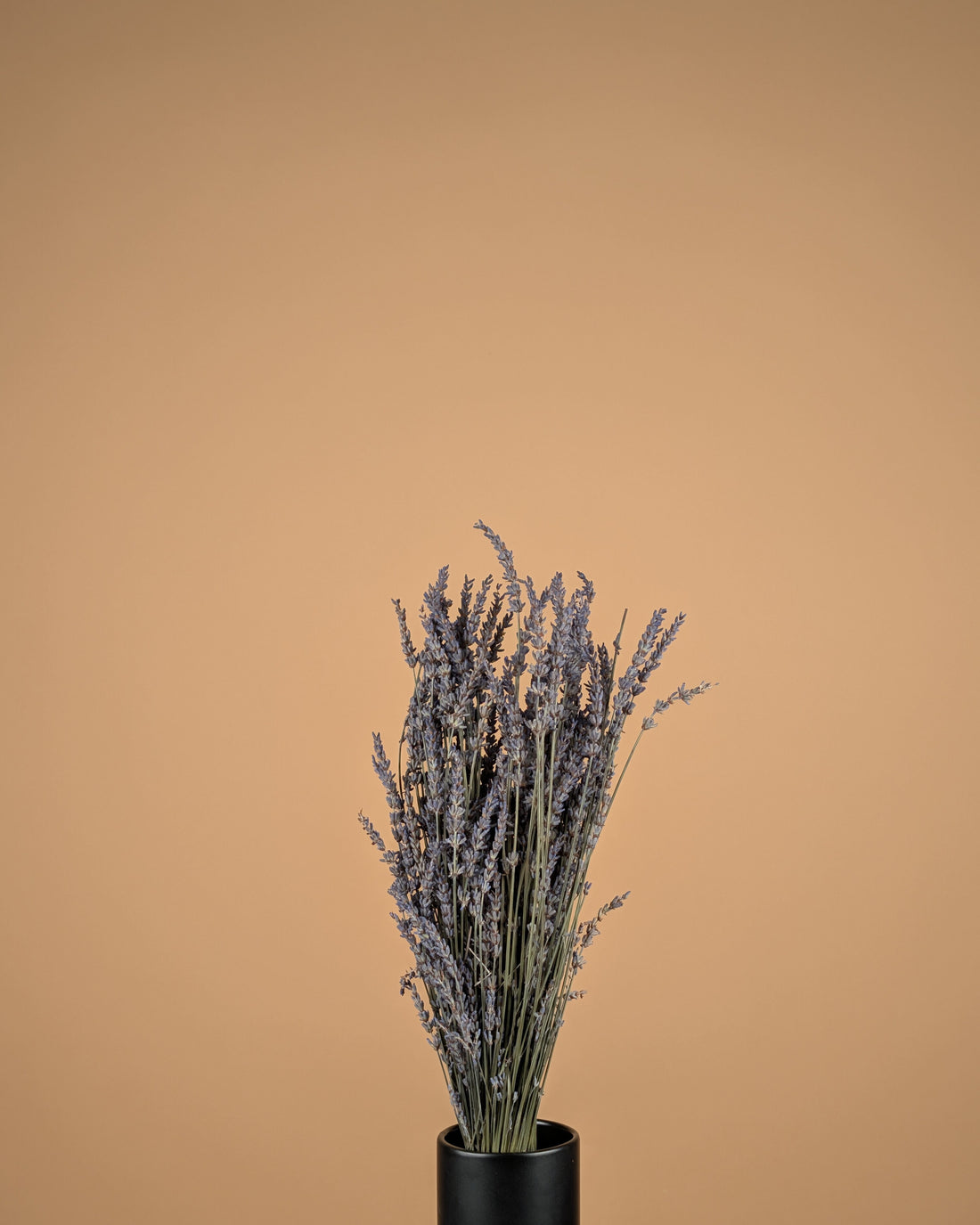 Gedroogde Lavendel naturel blauw