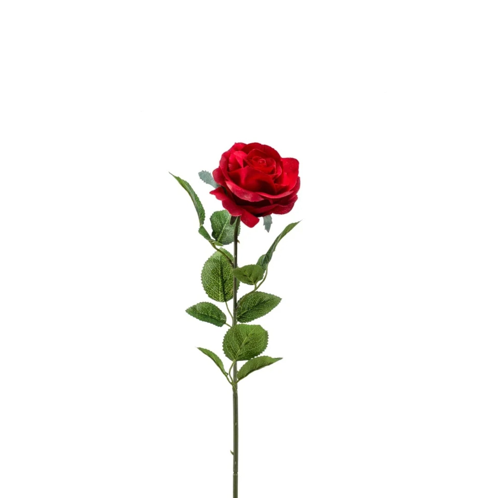 Rose de soie Simone – Rouge foncé (45 cm)