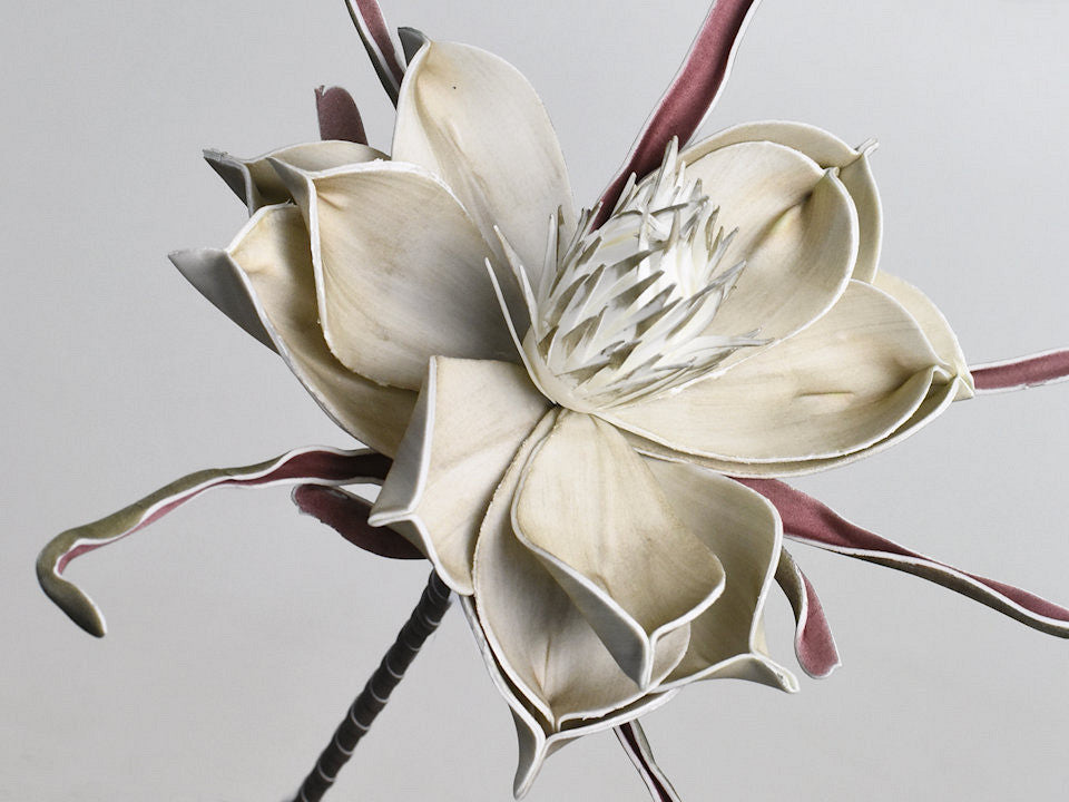 Schaumblume grau, D 20 cm