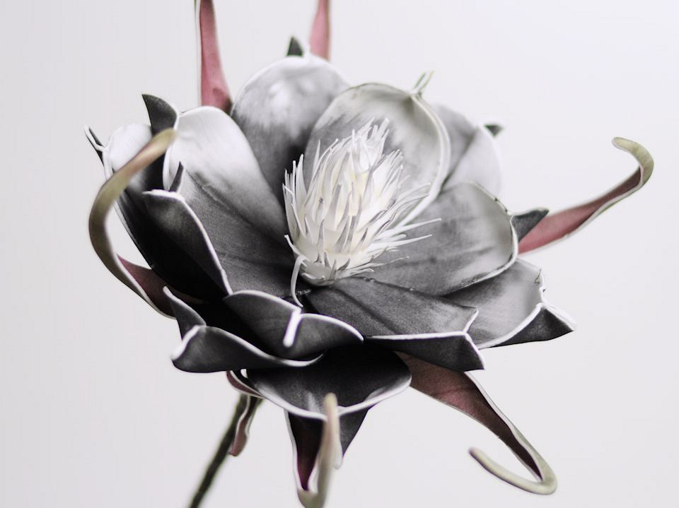 Foam flower black, D 20cm