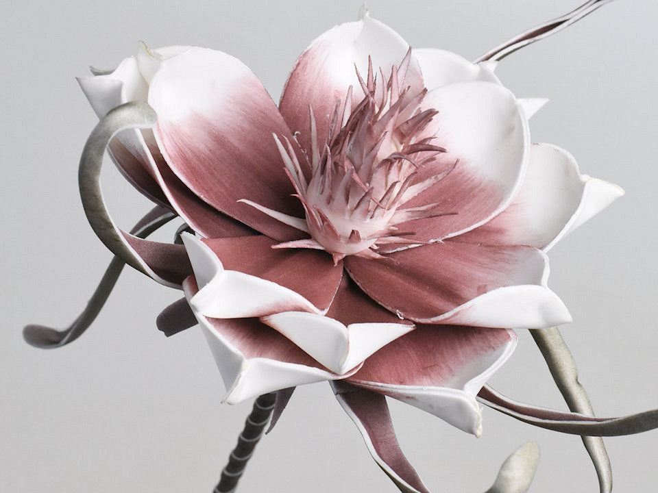 Schaumblume weiße Flieder, D 20 cm