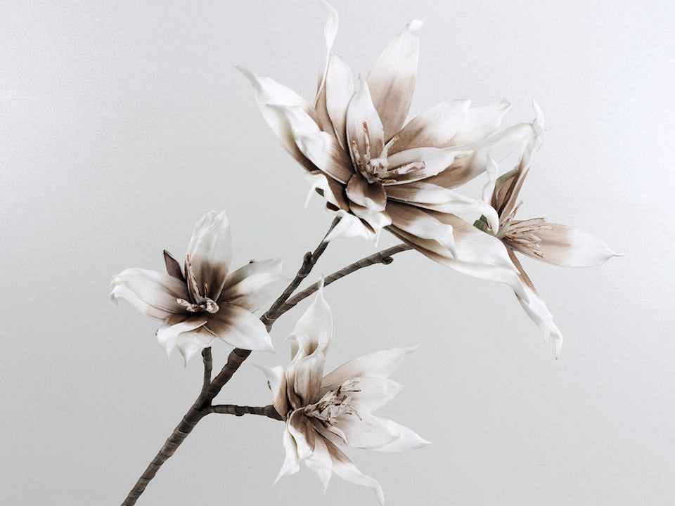 Branche de fleur de mousse blanche / mocca