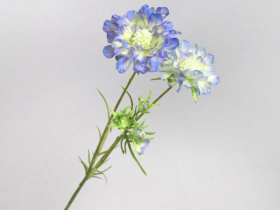 Kunst Scabiosa Blauw 84cm