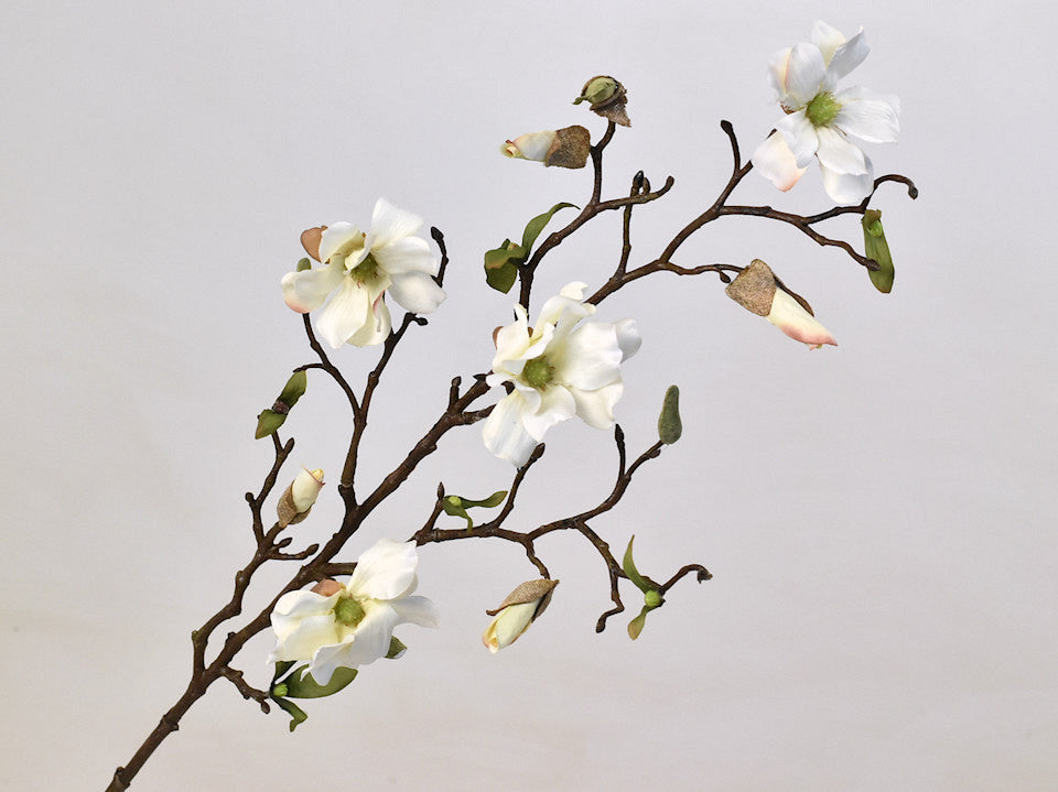 Magnoliatak 78cm Wit