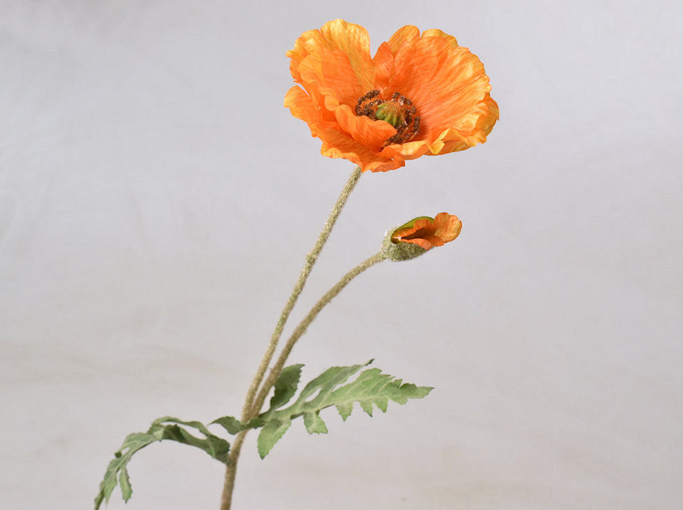 Poppy Orange 65cm