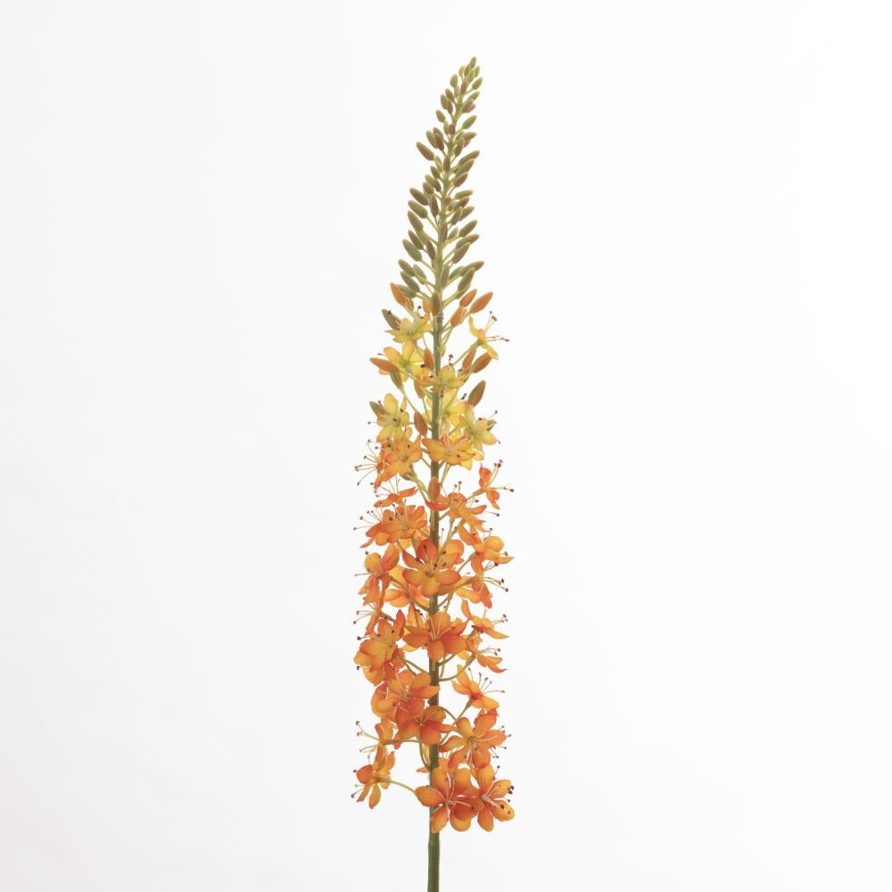 Branche d'Eremurus en soie – Orange chaud (107 cm)