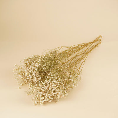 Gedroogd gipskruid (gypsophila) – wit naturel