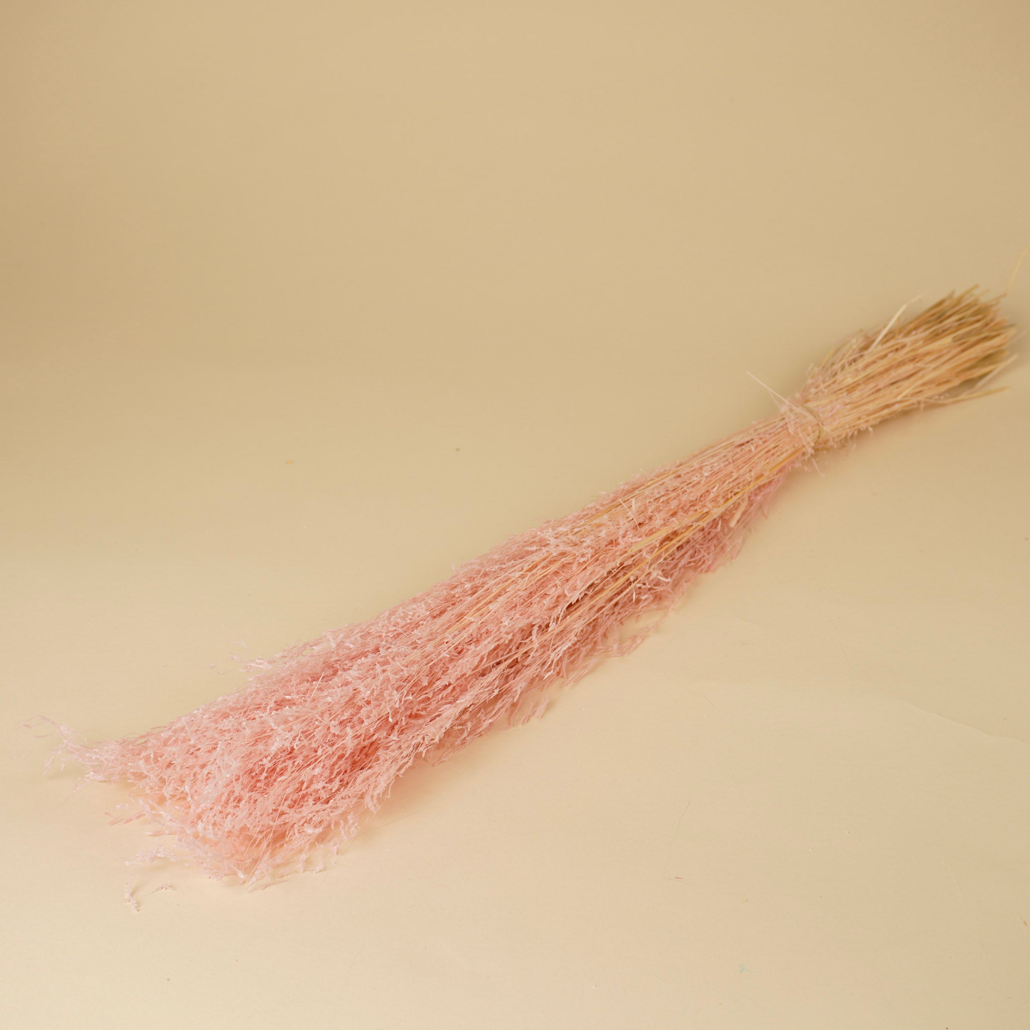 Gedroogd munni grass gebleekt - licht roze