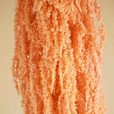 Gedroogde Amaranthus Caudatus – zalm roze
