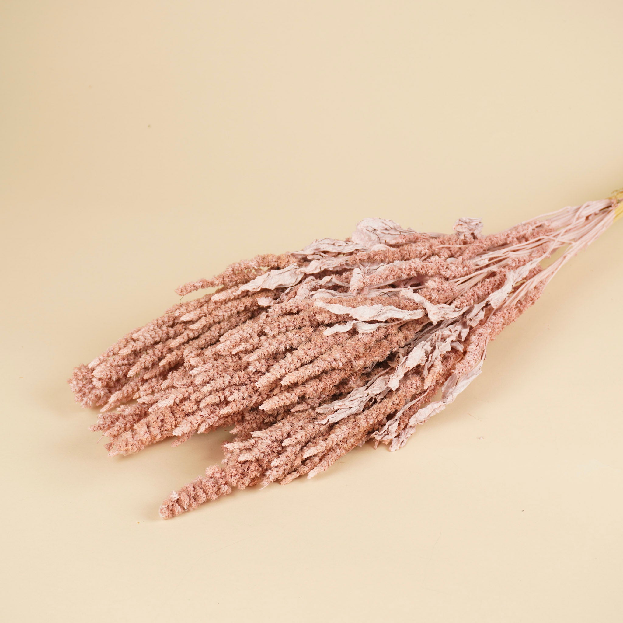 Gedroogde amaranthus – misty roze