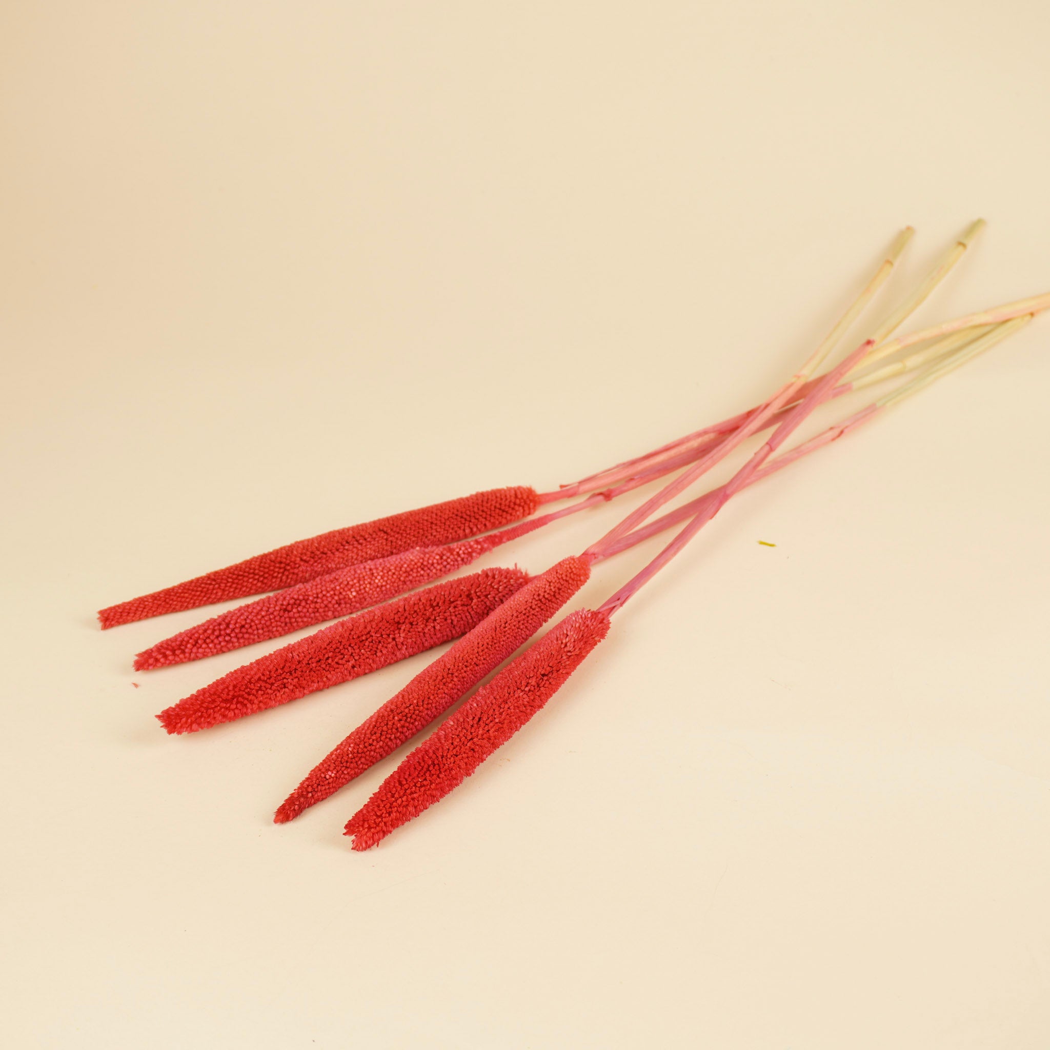 Gedroogde babala – cerise